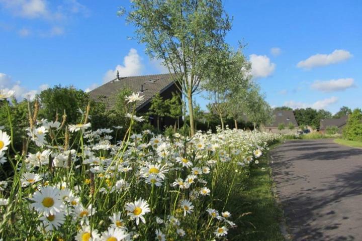 Bergen Holiday Home Schoorl Eksteriør bilde